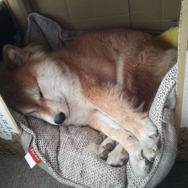 维拉替补登场改变场上节奏打破僵局，维拉 首发