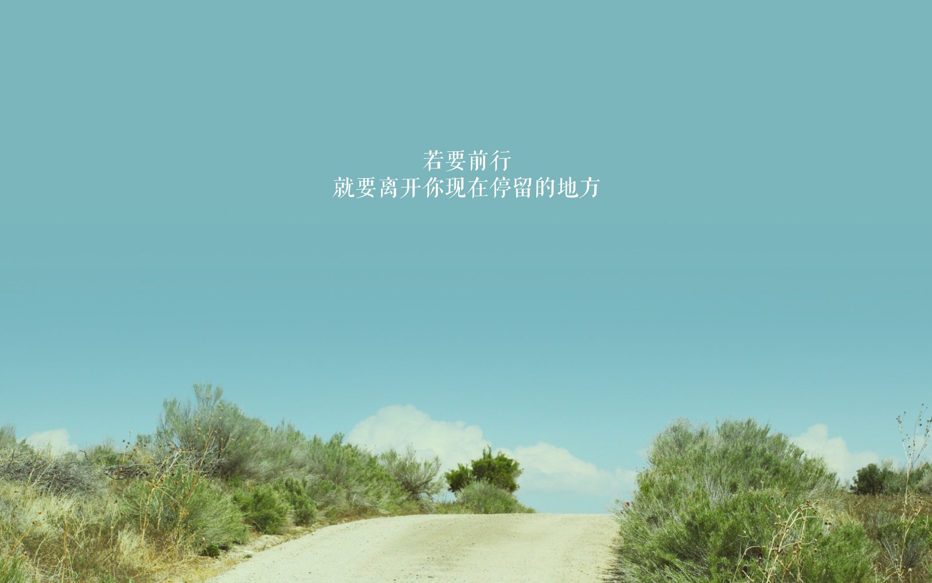 职业联赛对年轻球员的上场容忍度是否足够,职业联赛年龄